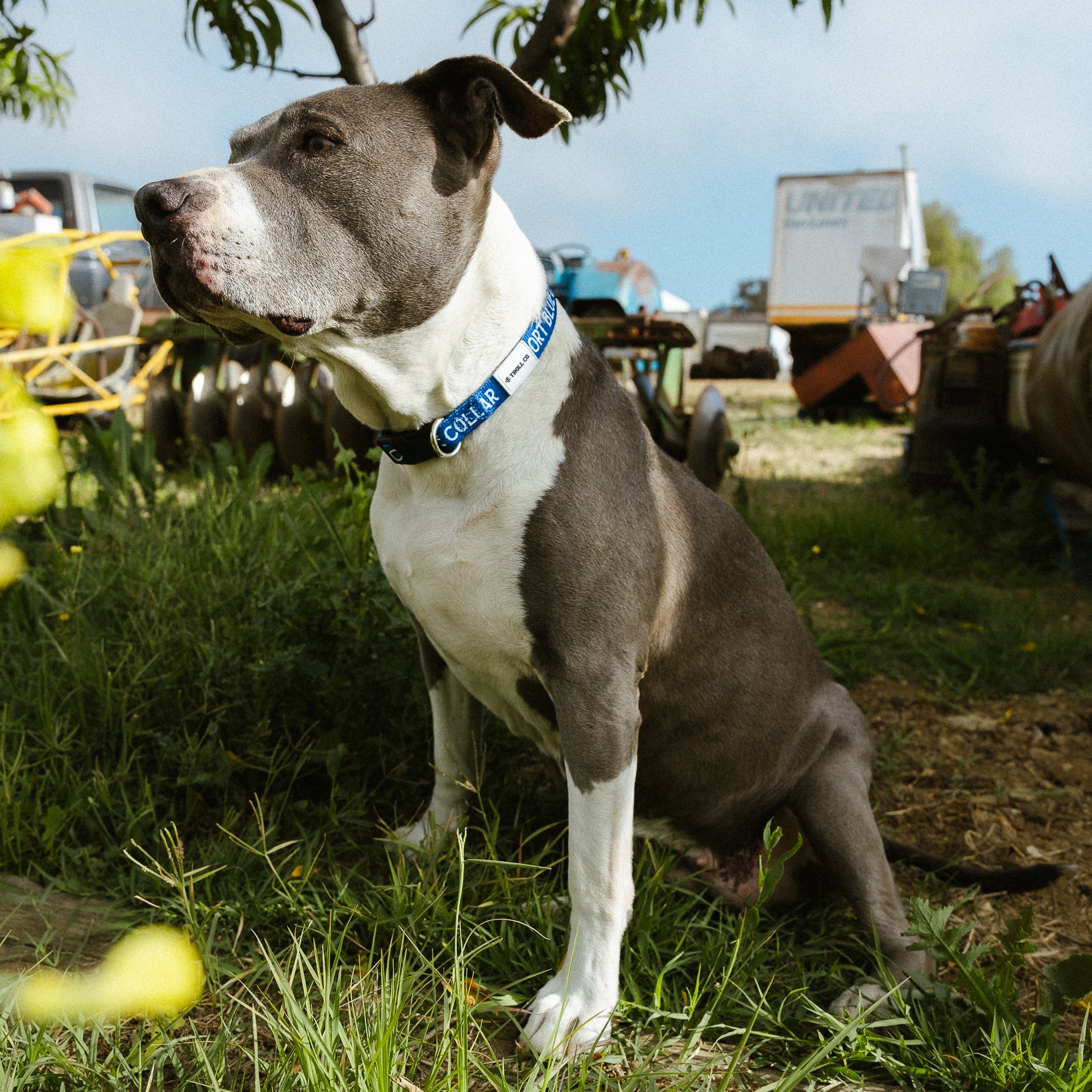 SBC Heavy Duty Collar