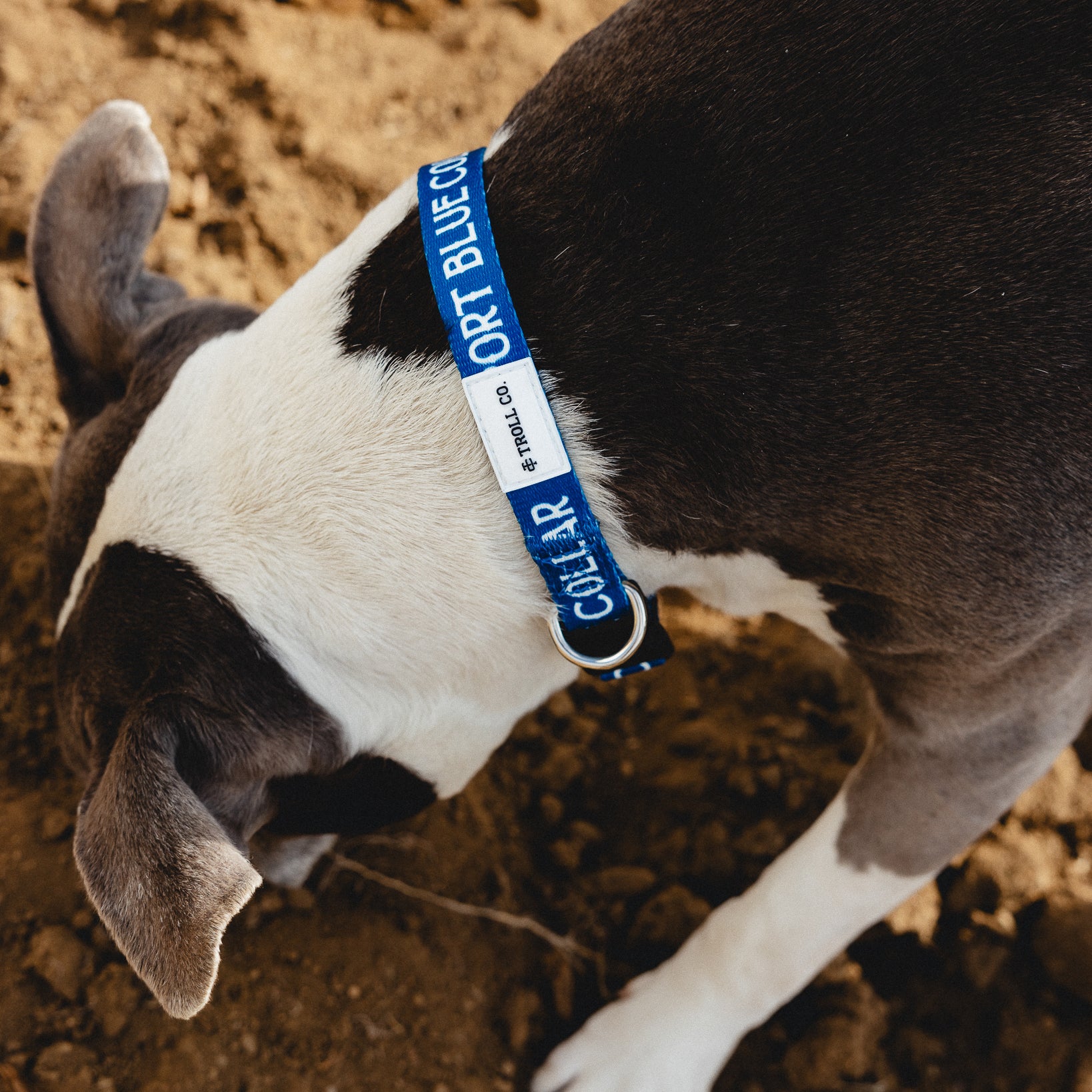 SBC Heavy Duty Collar