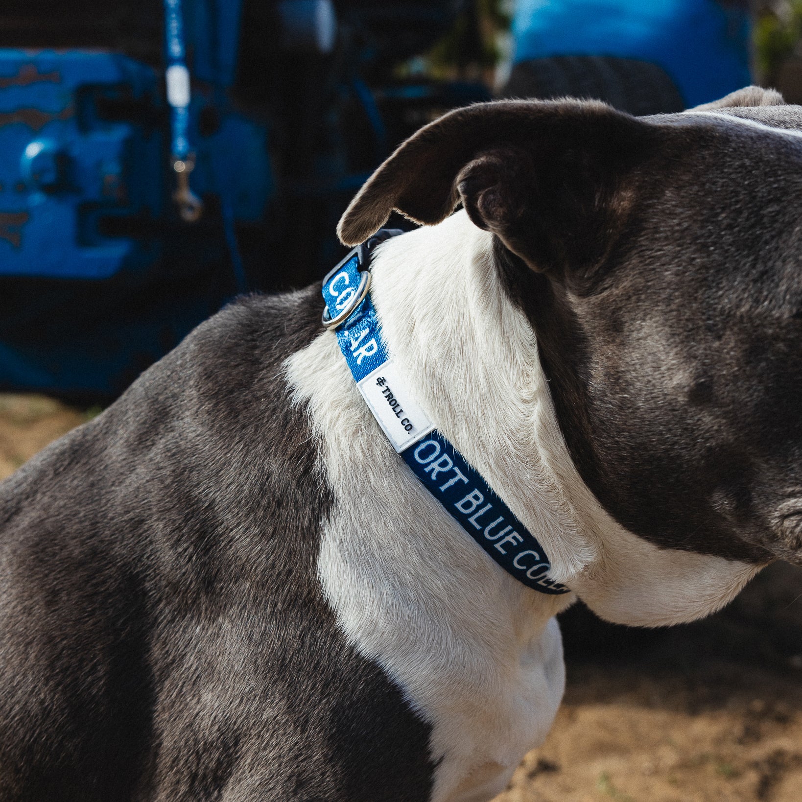 SBC Heavy Duty Collar