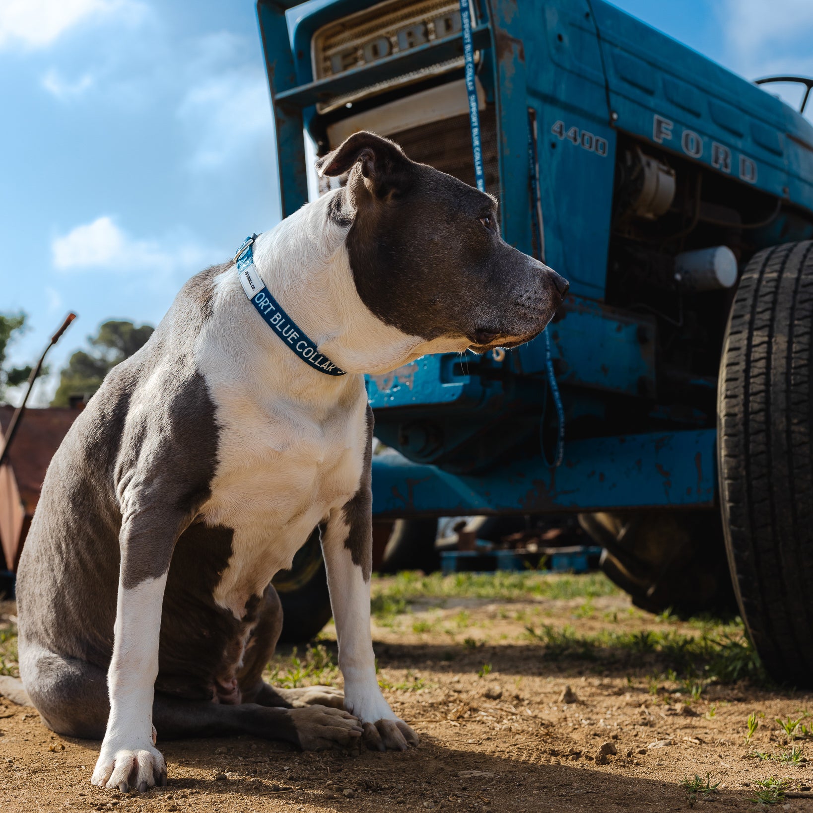 SBC Heavy Duty Collar