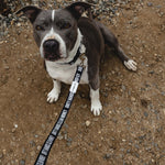 DHCM Heavy Duty Dog Leash | Color: Black