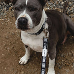 DHCM Heavy Duty Dog Leash | Color: Black