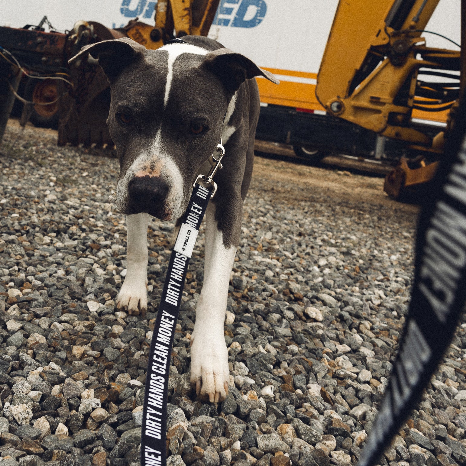 DHCM Heavy Duty Leash